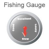 Fishing Gauge indicating fishing is slow.
